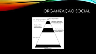 ORGANIZAÇÃO SOCIAL
 