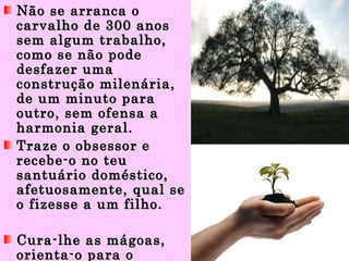 Não se arranca o carvalho de 300 anos sem algum trabalho, como se não pode desfazer uma construção milenária, de um minuto para outro, sem ofensa a harmonia geral. Traze o obsessor e recebe-o no teu santuário doméstico, afetuosamente, qual se o fizesse a um filho. Cura-lhe as mágoas, orienta-o para o Senhor. Ama-o, quanto puderes, porque só o amor pode curar o ódio. 