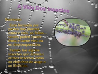 Nutrición:
  Está formada por
 partes das plantas
 como o talo, as follas…
 tamén poden comer
 fruta e carne viva ou
 en descomposición.
  Tamén hai algúns
 insectos que devoran
 outros insectos como
 as chinches de auga o
 as libélulas.
 