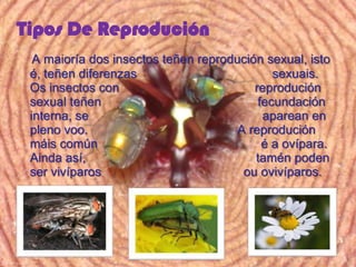 Tipos De Reprodución
  A maioría dos insectos teñen reprodución sexual, isto
 é, teñen diferenzas                         sexuais.
 Os insectos con                         reprodución
 sexual teñen                             fecundación
 interna, se                               aparean en
 pleno voo.                           A reprodución
 máis común                                é a ovípara.
 Ainda así,                              tamén poden
 ser vivíparos                         ou ovivíparos.
 
