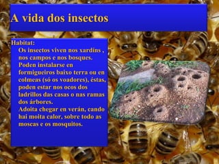 A vida dos insectos
Habitat:
  Os insectos viven nos xardíns ,
  nos campos e nos bosques.
  Poden instalarse en
  formigueiros baixo terra ou en
  colmeas (só os voadores), éstas,
  poden estar nos ocos dos
  ladrillos das casas o nas ramas
  dos árbores.
  Adoita chegar en verán, cando
  hai moita calor, sobre todo as
  moscas e os mosquitos.
 