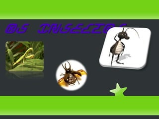Os Insectos
 
