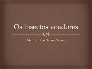 Pablo Tarrío e Naiara Naveira  