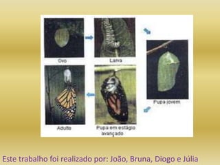 Este trabalho foi realizado por: João, Bruna, Diogo e Júlia
 