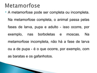    A metamorfose pode ser completa ou incompleta.

    Na metamorfose completa, o animal passa pelas

    fases de larva, pupa e adulto - isso ocorre, por

    exemplo,   nas    borboletas   e   moscas.   Na

    metamorfose incompleta, não há a fase de larva

    ou a de pupa - é o que ocorre, por exemplo, com

    as baratas e os gafanhotos.
 