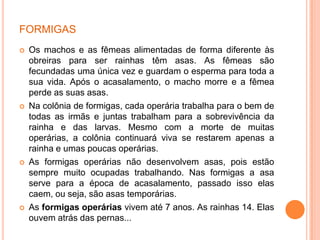FORMIGAS
 Os machos e as fêmeas alimentadas de forma diferente às
obreiras para ser rainhas têm asas. As fêmeas são
fecundadas uma única vez e guardam o esperma para toda a
sua vida. Após o acasalamento, o macho morre e a fêmea
perde as suas asas.
 Na colônia de formigas, cada operária trabalha para o bem de
todas as irmãs e juntas trabalham para a sobrevivência da
rainha e das larvas. Mesmo com a morte de muitas
operárias, a colônia continuará viva se restarem apenas a
rainha e umas poucas operárias.
 As formigas operárias não desenvolvem asas, pois estão
sempre muito ocupadas trabalhando. Nas formigas a asa
serve para a época de acasalamento, passado isso elas
caem, ou seja, são asas temporárias.
 As formigas operárias vivem até 7 anos. As rainhas 14. Elas
ouvem atrás das pernas...
 