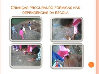 CRIANÇAS PROCURANDO FORMIGAS NAS
DEPENDÊNCIAS DA ESCOLA
 