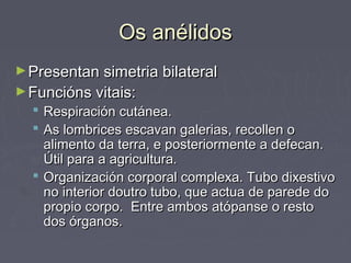 Os anélidosOs anélidos
►Presentan simetria bilateralPresentan simetria bilateral
►Funcións vitais:Funcións vitais:
 Respiración cutánea.Respiración cutánea.
 As lombrices escavan galerias, recollen oAs lombrices escavan galerias, recollen o
alimento da terra, e posteriormente a defecan.alimento da terra, e posteriormente a defecan.
Útil para a agricultura.Útil para a agricultura.
 Organización corporal complexa. Tubo dixestivoOrganización corporal complexa. Tubo dixestivo
no interior doutro tubo, que actua de parede dono interior doutro tubo, que actua de parede do
propio corpo. Entre ambos atópanse o restopropio corpo. Entre ambos atópanse o resto
dos órganos.dos órganos.
 