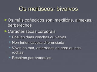 Os molúscos: bivalvosOs molúscos: bivalvos
►Os máis coñecidos son: mexillóns, almexas,Os máis coñecidos son: mexillóns, almexas,
berberechosberberechos
►Características corporaisCaracterísticas corporais
 Posúen dúas conchas ou valvasPosúen dúas conchas ou valvas
 Non teñen cabeza diferenciadaNon teñen cabeza diferenciada
 Viven no mar, enterrados na area ou nasViven no mar, enterrados na area ou nas
rochasrochas
 Respiran por branquias.Respiran por branquias.
 