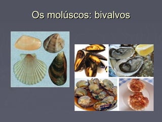 Os molúscos: bivalvosOs molúscos: bivalvos
 