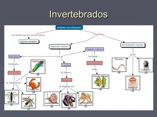 InvertebradosInvertebrados
 
