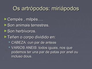Os artrópodos: miriápodosOs artrópodos: miriápodos
►Cempés , milpés….Cempés , milpés….
►Son animais terrestres.Son animais terrestres.
►Son herbívoros.Son herbívoros.
►Teñen o corpo dividido en:Teñen o corpo dividido en:
 CABEZA: cun par de anteasCABEZA: cun par de anteas
 VARIOS ANEIS: todos iguais, nos queVARIOS ANEIS: todos iguais, nos que
podemos ter una par de patas por anel oupodemos ter una par de patas por anel ou
incluso dous.incluso dous.
 