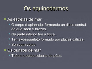 Os equinodermosOs equinodermos
►As estrelas de marAs estrelas de mar
 O corpo é aplanado, formando un disco centralO corpo é aplanado, formando un disco central
do que saen 5 brazos.do que saen 5 brazos.
 Na parte inferior ten a boca.Na parte inferior ten a boca.
 Ten exoesqueleto formado por placas calizas.Ten exoesqueleto formado por placas calizas.
 Son carnívorasSon carnívoras
►Os ourizos de marOs ourizos de mar
 Teñen o corpo cuberto de púas.Teñen o corpo cuberto de púas.
 