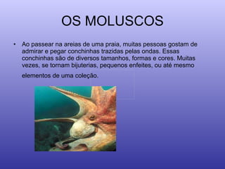 OS MOLUSCOS Ao passear na areias de uma praia, muitas pessoas gostam de admirar e pegar conchinhas trazidas pelas ondas. Essas conchinhas são de diversos tamanhos, formas e cores. Muitas vezes, se tornam bijuterias, pequenos enfeites, ou até mesmo elementos de uma coleção.   
