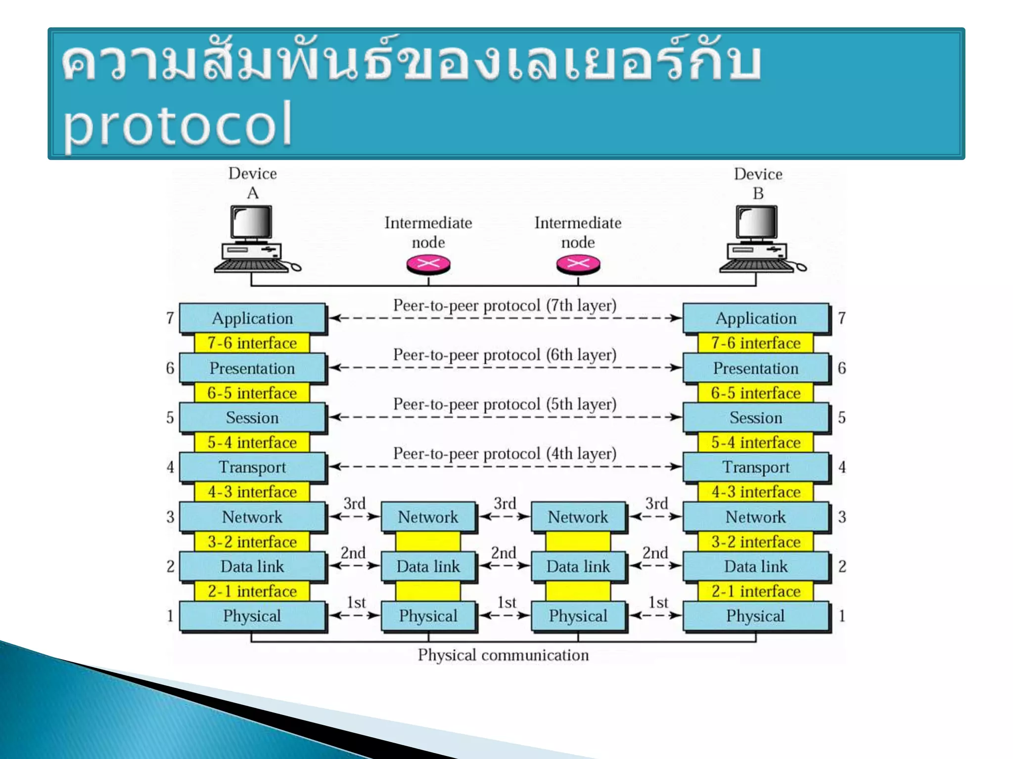 ความสัมพันธ์ของเลเยอร์กับ protocol