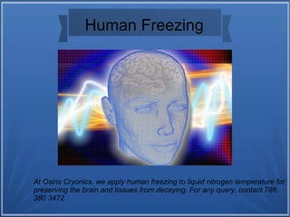Human Freezing
At Osiris Cryonics, we apply human freezing to liquid nitrogen temperature for
preserving the brain and tissues from decaying. For any query, contact 786
380 3472.
 