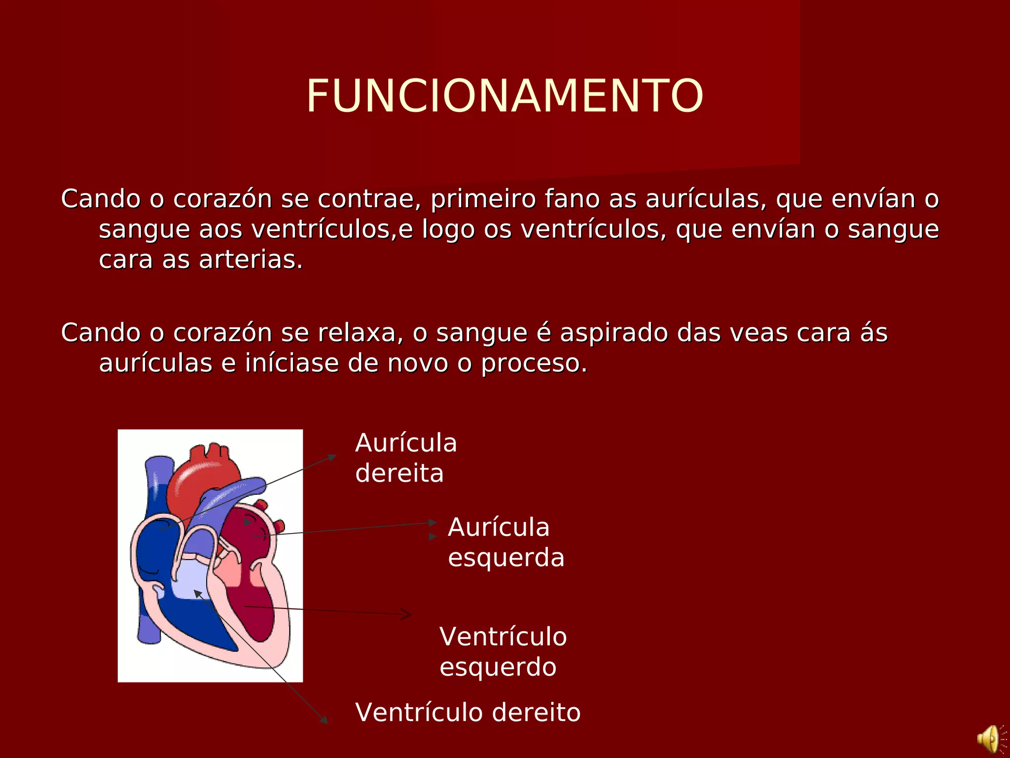FUNCIONAMENTO
Cando o corazón se contrae, primeiro fano as aurículas, que envían oCando o corazón se contrae, primeiro fano as aurículas, que envían o
sangue aos ventrículos,e logo os ventrículos, que envían o sanguesangue aos ventrículos,e logo os ventrículos, que envían o sangue
cara as arterias.cara as arterias.
Cando o corazón se relaxa, o sangue é aspirado das veas cara ásCando o corazón se relaxa, o sangue é aspirado das veas cara ás
aurículas e iníciase de novo o proceso.aurículas e iníciase de novo o proceso.
Aurícula
dereita
Aurícula
esquerda
Ventrículo dereito
Ventrículo
esquerdo
 