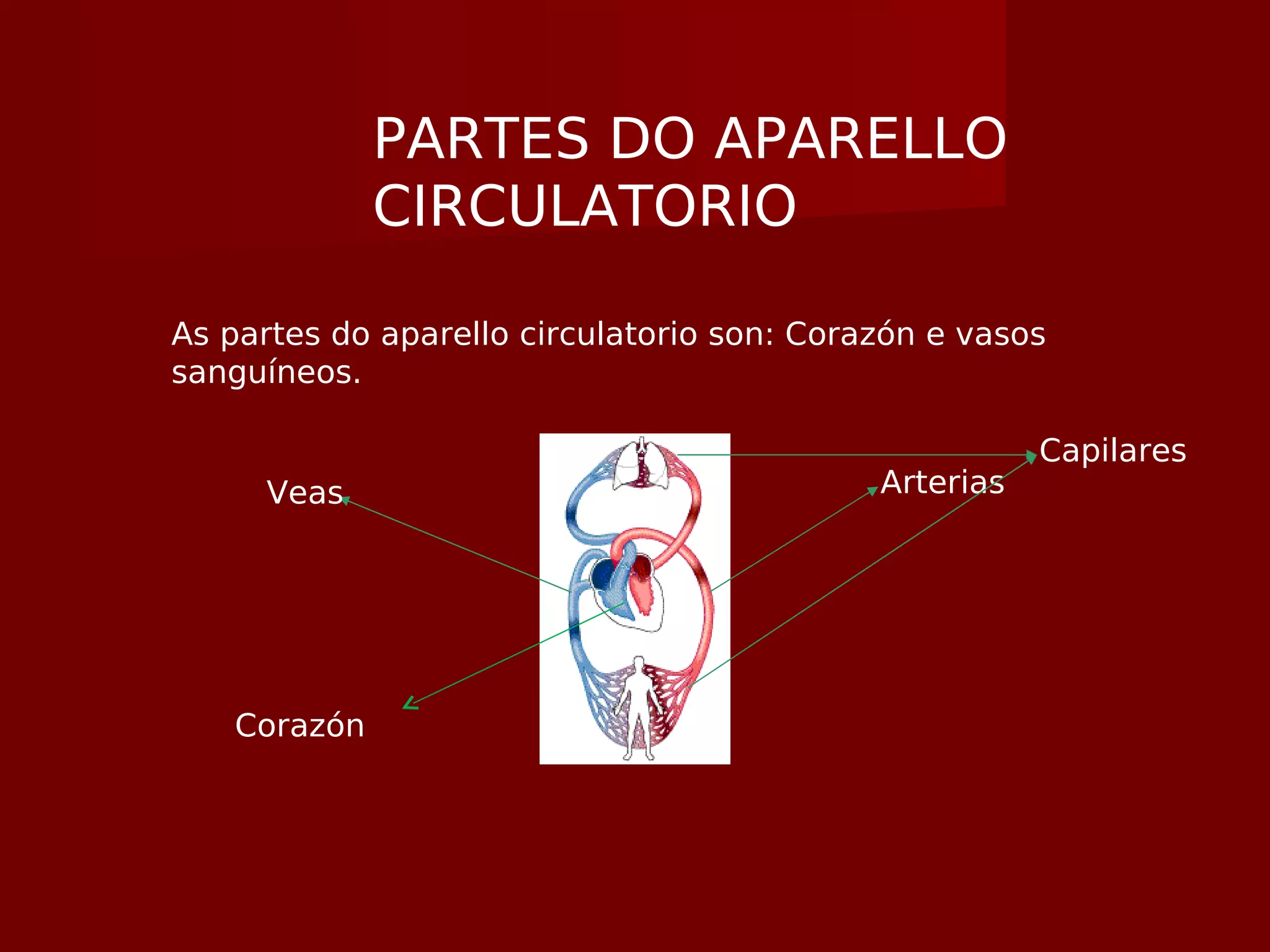 PARTES DO APARELLO
CIRCULATORIO
As partes do aparello circulatorio son: Corazón e vasos
sanguíneos.
ArteriasVeas
Capilares
Corazón
 