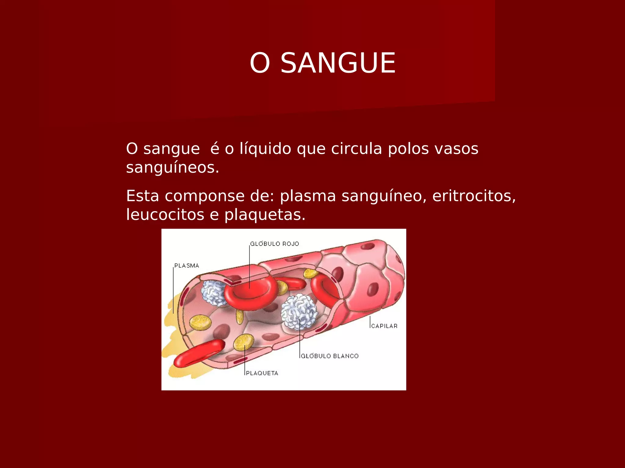 O SANGUE
O sangue é o líquido que circula polos vasos
sanguíneos.
Esta componse de: plasma sanguíneo, eritrocitos,
leucocitos e plaquetas.
 