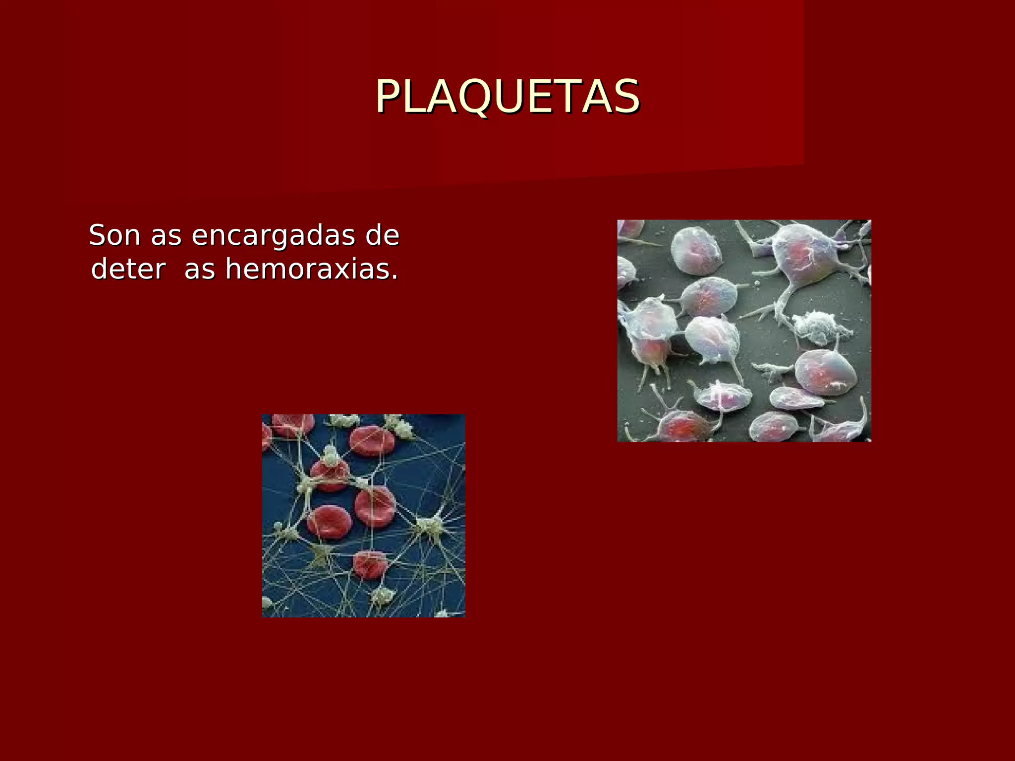 PLAQUETASPLAQUETAS
Son as encargadas deSon as encargadas de
deter as hemoraxias.deter as hemoraxias.
 
