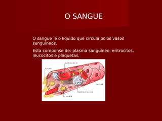 O SANGUE
O sangue é o líquido que circula polos vasos
sanguíneos.
Esta componse de: plasma sanguíneo, eritrocitos,
leucocitos e plaquetas.
 