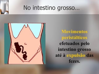 No intestino grosso… Movimentos peristálticos  efetuados pelo intestino grosso até à  expulsão  das fezes. 