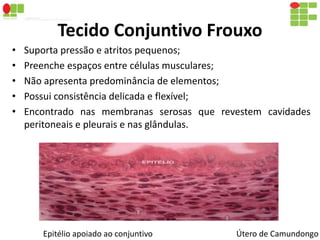Tecido Conjuntivo Frouxo 
• Suporta pressão e atritos pequenos; 
• Preenche espaços entre células musculares; 
• Não apresenta predominância de elementos; 
• Possui consistência delicada e flexível; 
• Encontrado nas membranas serosas que revestem cavidades 
peritoneais e pleurais e nas glândulas. 
Epitélio apoiado ao conjuntivo Útero de Camundongo 
 