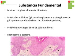 Substância Fundamental 
• Mistura complexa altamente hidratada; 
• Moléculas aniônicas (glicosaminoglicanos e proteoglicanos) e 
glicoproteínas multiadesivas - incolor e transparente; 
• Preenche os espaços entre as células e fibras; 
• Lubrificante e barreira. 
 