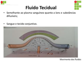 Fluido Tecidual 
• Semelhante ao plasma sanguíneo quanto a íons e substâncias 
difusíveis; 
• Sangue e tecido conjuntivo. 
• 5.37 
Movimento dos fluidos 
 