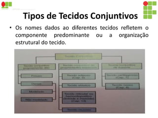 Tipos de Tecidos Conjuntivos 
• Os nomes dados ao diferentes tecidos refletem o 
componente predominante ou a organização 
estrutural do tecido. 
 
