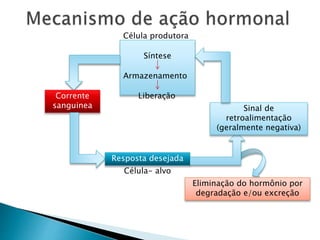 Síntese
Armazenamento
Liberação
Célula produtora
Corrente
sanguinea
Resposta desejada
Célula- alvo
Sinal de
retroalimentação
(geralmente negativa)
Eliminação do hormônio por
degradação e/ou excreção
 