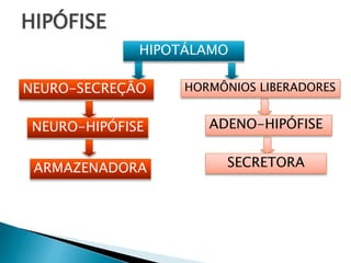 HIPÓFISE
HIPOTÁLAMO
NEURO-SECREÇÃO
NEURO-HIPÓFISE
ARMAZENADORA
HORMÔNIOS LIBERADORES
ADENO-HIPÓFISE
SECRETORA
 