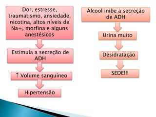 Dor, estresse,
traumatismo, ansiedade,
nicotina, altos níveis de
Na+, morfina e alguns
anestésicos
Estimula a secreção de
ADH
 Volume sanguíneo
Hipertensão
Álcool inibe a secreção
de ADH
Urina muito
Desidratação
SEDE!!!
 