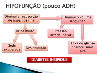 HIPOFUNÇÃO (pouco ADH)
Diminui a reabsorção
de água nos rins
Urina muito
Sede
exagerada Desidratação
Diminui o volume
sanguíneo
Pressão
arterial baixa
Taxa de glicose
“parece” mais
alta
DIABETES INSIPIDUS
 
