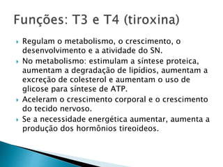  Regulam o metabolismo, o crescimento, o
desenvolvimento e a atividade do SN.
 No metabolismo: estimulam a síntese proteica,
aumentam a degradação de lipídios, aumentam a
excreção de colesterol e aumentam o uso de
glicose para síntese de ATP.
 Aceleram o crescimento corporal e o crescimento
do tecido nervoso.
 Se a necessidade energética aumentar, aumenta a
produção dos hormônios tireoideos.
 