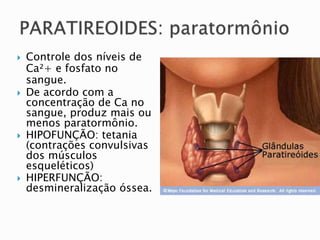  Controle dos níveis de
Ca²+ e fosfato no
sangue.
 De acordo com a
concentração de Ca no
sangue, produz mais ou
menos paratormônio.
 HIPOFUNÇÃO: tetania
(contrações convulsivas
dos músculos
esqueléticos)
 HIPERFUNÇÃO:
desmineralização óssea.
 