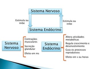 Sistema Nervoso
Estimula ou
inibe
Sistema Endócrino
Estimula ou
inibe
Sistema
Nervoso
Contrações
musculares
Secreção
glandular
Sistema
Endócrino
Altera atividades
metabólicas
Regula crescimento e
desenvolvimento
Guia os processos
reprodutivosEfeito em ms
Efeito em s ou horas
 