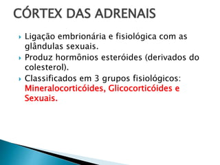 CÓRTEX DAS ADRENAIS
 Ligação embrionária e fisiológica com as
glândulas sexuais.
 Produz hormônios esteróides (derivados do
colesterol).
 Classificados em 3 grupos fisiológicos:
Mineralocorticóides, Glicocorticóides e
Sexuais.
 