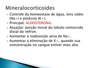  Controle da homeostase de água, íons sódio
(Na+) e potássio (K+).
 Principal: ALDOSTERONA.
 Atuação: porção inicial do túbulo contorcido
distal do néfron.
 Aumentar a reabsorção ativa de Na+.
 Aumentar a eliminação de K+, quando sua
concentração no sangue estiver mais alta.
 