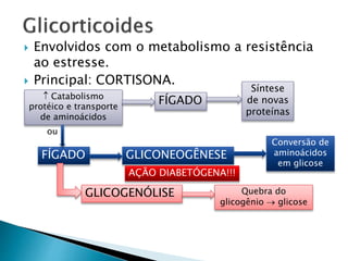  Envolvidos com o metabolismo a resistência
ao estresse.
 Principal: CORTISONA.
 Catabolismo
protéico e transporte
de aminoácidos
FÍGADO
Síntese
de novas
proteínas
FÍGADO GLICONEOGÊNESE
ou
Conversão de
aminoácidos
em glicose
GLICOGENÓLISE Quebra do
glicogênio  glicose
AÇÃO DIABETÓGENA!!!
 