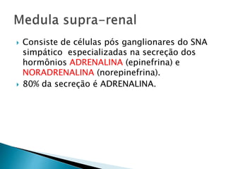  Consiste de células pós ganglionares do SNA
simpático especializadas na secreção dos
hormônios ADRENALINA (epinefrina) e
NORADRENALINA (norepinefrina).
 80% da secreção é ADRENALINA.
 