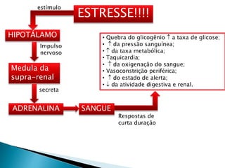 ESTRESSE!!!!
estímulo
HIPOTÁLAMO
Impulso
nervoso
Medula da
supra-renal
secreta
ADRENALINA SANGUE
Respostas de
curta duração
• Quebra do glicogênio  a taxa de glicose;
•  da pressão sanguínea;
•  da taxa metabólica;
• Taquicardia;
•  da oxigenação do sangue;
• Vasoconstrição periférica;
•  do estado de alerta;
•  da atividade digestiva e renal.
 
