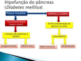 Pouca insulina HIPERGLICEMIA
ALTA concentração de
glicose na urina
Urina MUITO
Sede excessiva Desidratação
GLICONEOGÊNESE
(supra-renais)
 Síntese de proteínas e
lipídios
Emagrecimento MUITA fome
 