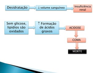 Desidratação  volume sanguíneo Insuficiência
renal
Sem glicose,
lipídios são
oxidados
 Formação
de ácidos
graxos
ACIDOSE
COMA
MORTE
 