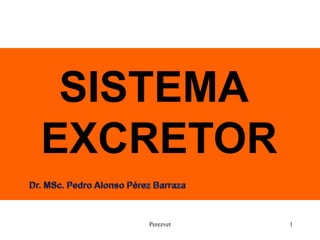 SISTEMA
EXCRETOR
   Perezvet   1
 