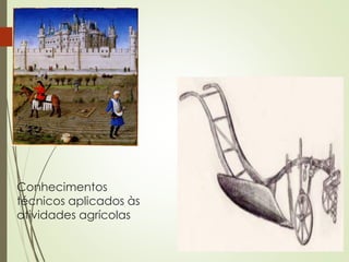 Conhecimentos
técnicos aplicados às
atividades agrícolas
 