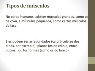 Tipos de músculos
No corpo humano, existem músculos grandes, como os
da coxa, e músculos pequenos, como certos músculos
da face.

Eles podem ser arredondados (os orbiculares dos
olhos, por exemplo); planos (os do crânio, entre
outros); ou fusiformes (como os do braço).

 