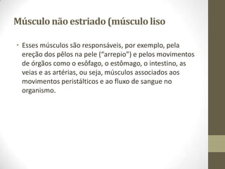 Músculo não estriado (músculo liso
• Esses músculos são responsáveis, por exemplo, pela
ereção dos pêlos na pele (“arrepio”) e pelos movimentos
de órgãos como o esôfago, o estômago, o intestino, as
veias e as artérias, ou seja, músculos associados aos
movimentos peristálticos e ao fluxo de sangue no
organismo.

 