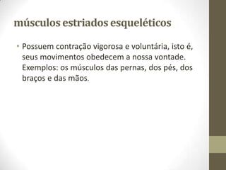 músculos estriados esqueléticos
• Possuem contração vigorosa e voluntária, isto é,
seus movimentos obedecem a nossa vontade.
Exemplos: os músculos das pernas, dos pés, dos
braços e das mãos.

 
