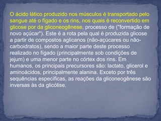 O ácido lático produzido nos músculos é transportado pelo
sangue até o fígado e os rins, nos quais é reconvertido em
glicose por da gliconeogênese, processo de ("formação de
novo açúcar"). Este é a rota pela qual é produzida glicose
a partir de compostos aglicanos (não-açúcares ou não-
carboidratos), sendo a maior parte deste processo
realizado no fígado (principalmente sob condições de
jejum) e uma menor parte no córtex dos rins. Em
humanos, os principais precursores são: lactato, glicerol e
aminoácidos, principalmente alanina. Exceto por três
sequências específicas, as reações da gliconeogênese são
inversas às da glicólise.
 